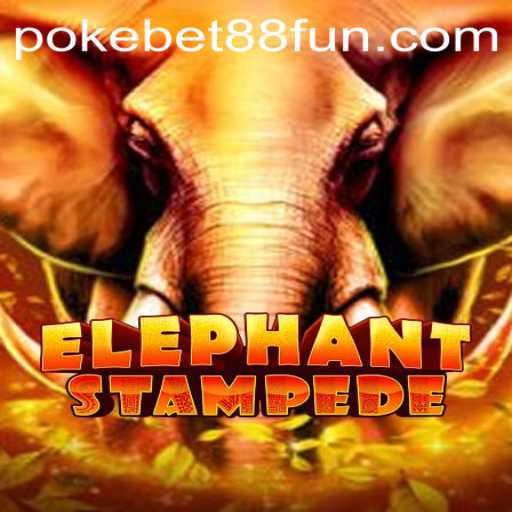 Experience the Thrill with ElephantStampede on PokeBet88.COM